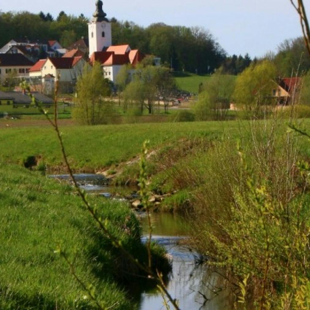 Globovnica Stream